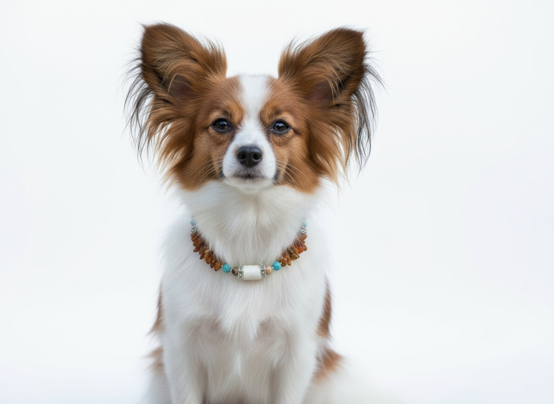 Bernsteinkette EM-Kera Howlith &Landschaftsjaspis 24cm