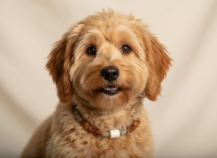 Bernsteinkette EM-Keramik Pipes & Jade 26cm