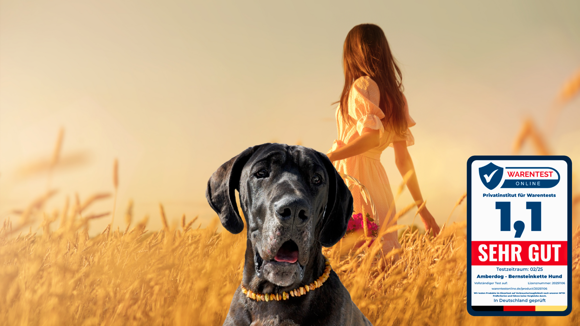 Bernsteinkette Hund