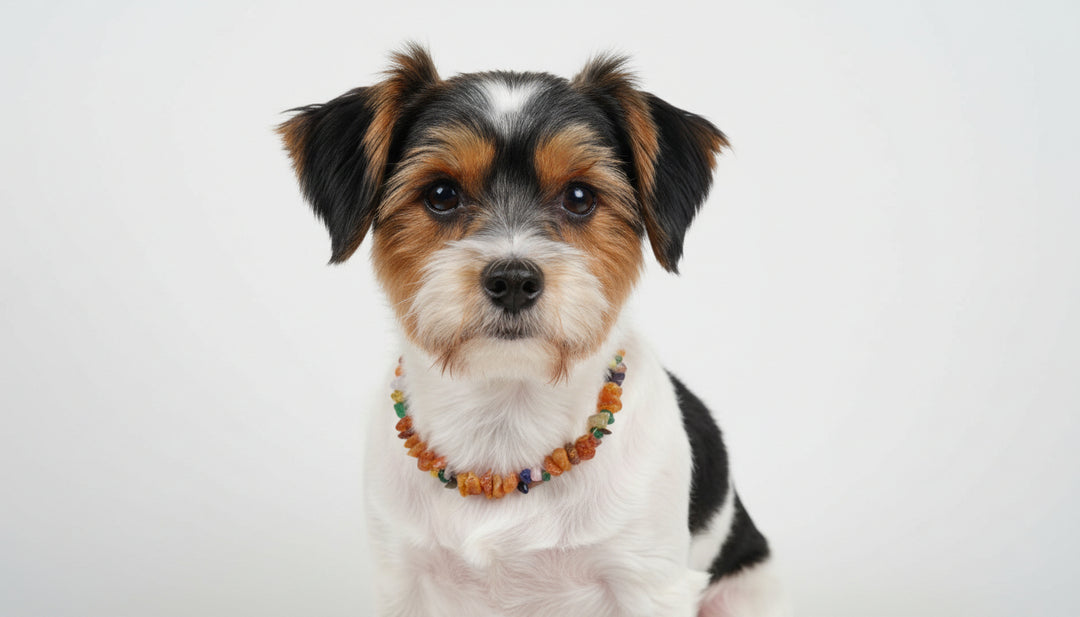 Bernsteinkette Hund Edelsteinmix 24cm