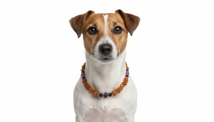 Bernsteinkette Lava&Sugilith 33cm