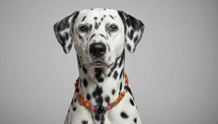 Bernsteinkette Onyx & Achat 42 cm