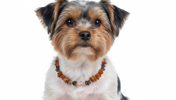 Bernsteinkette Rauchquarz 30cm