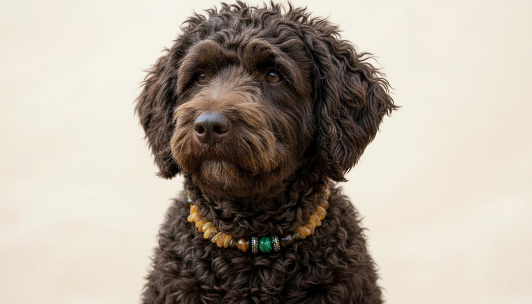 Bernsteinkette Tigerauge & Malachit 37cm