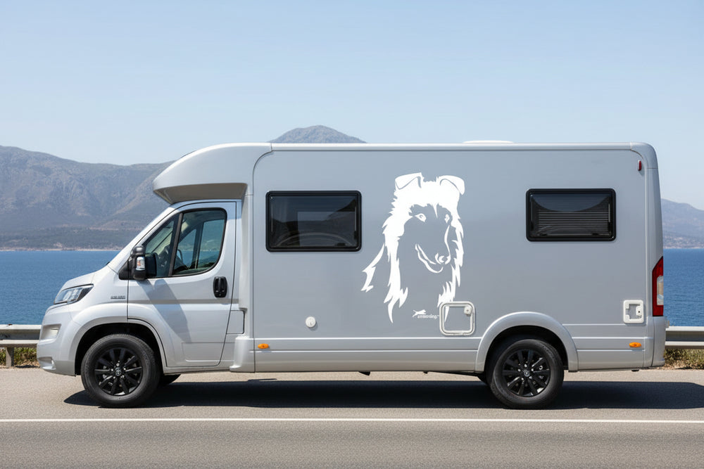 Collie_Aufkleber für Camper