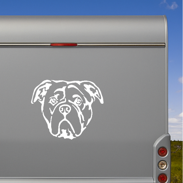 Weißer Continental Bulldogge Kopf Aufkleber am silbernen Wohnmobil-Heck – wetterfestes Wandtattoo- und Autoaufkleber-Motiv von amberdog