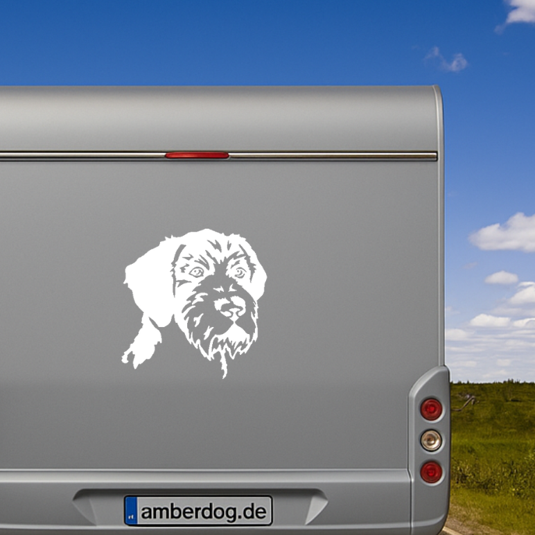 Weißer Deutsch Drahthaar Kopf Aufkleber auf einem silbernen Wohnmobil – wetterfestes Autoaufkleber-Motiv von amberdog