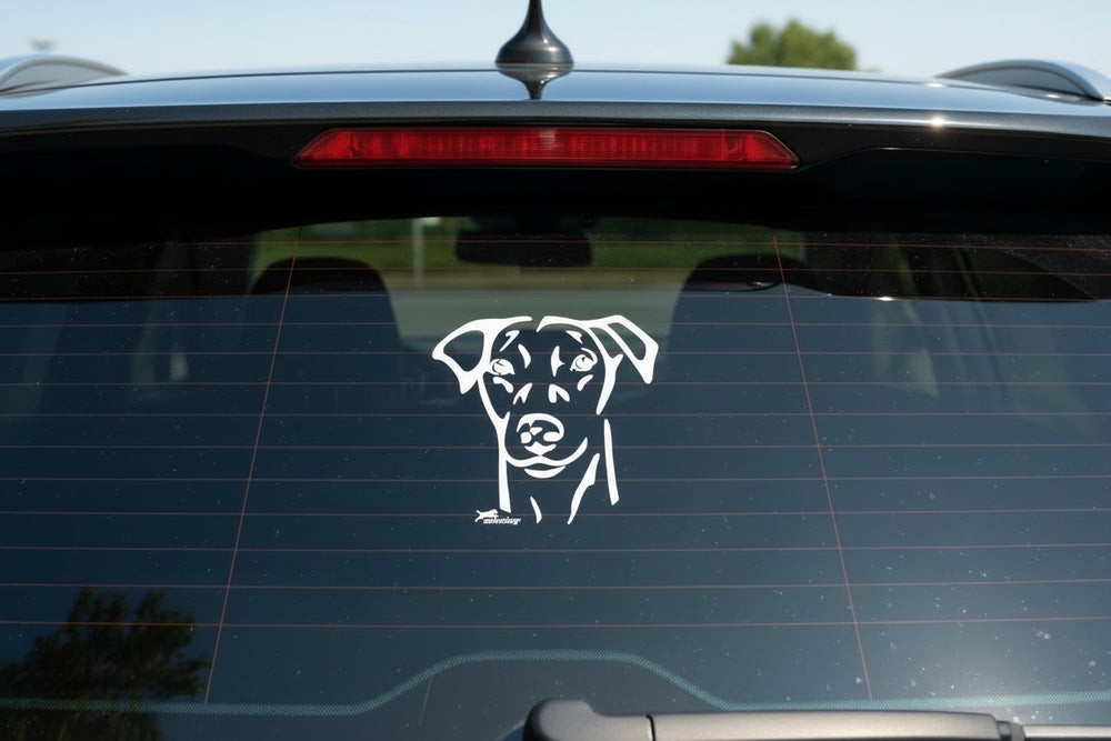 Deutscher Pinscher KOPF Aufkleber weiß