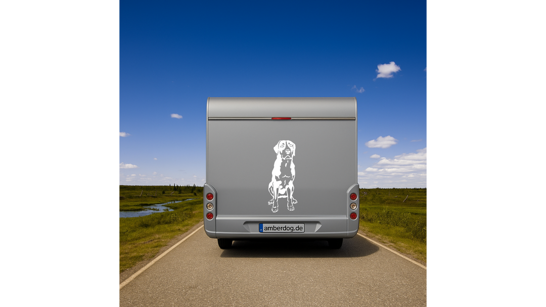 Großer Schweizer Sennenhund Auto Wohnmobil Aufkleber Weiß 