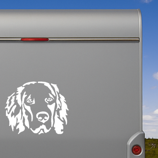 Weißer Hovawart Kopf Aufkleber auf einem Wohnmobil – wetterfestes Aufkleber-Motiv von amberdog