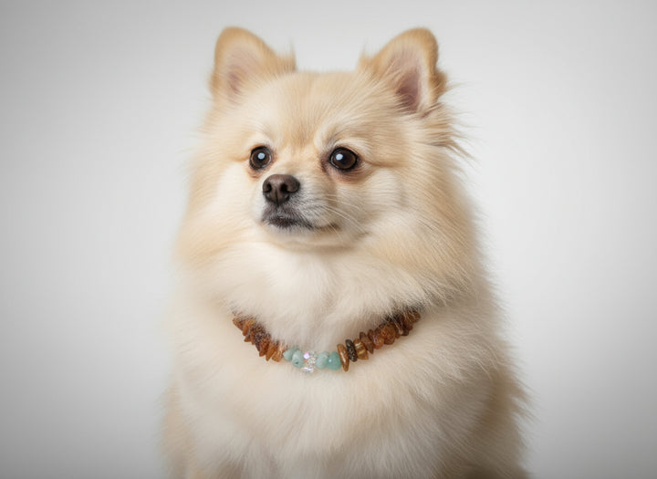 Hunde Bernsteinkette Swari & Amazonit 24 cm