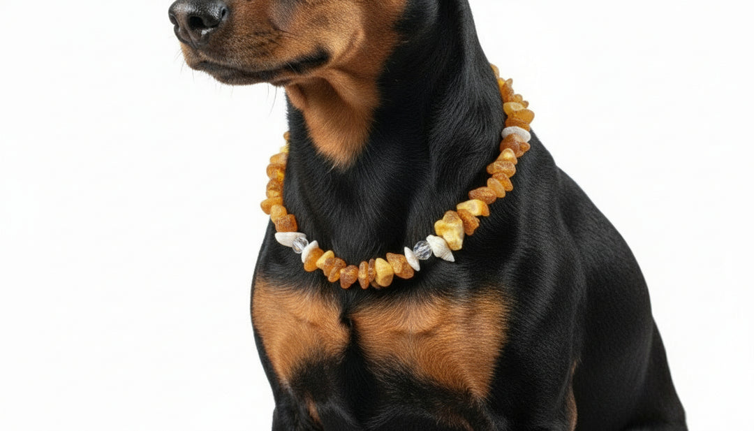 Hunde Bernsteinkette Swari & Muscheln 23 cm