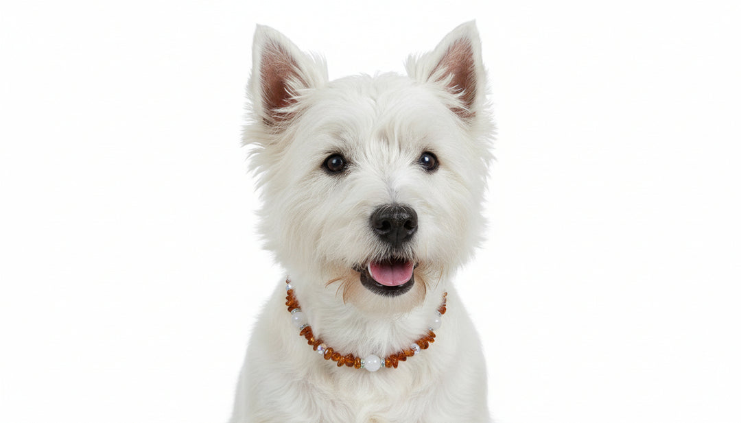 Bernsteinkette Rosenquarz & Swari