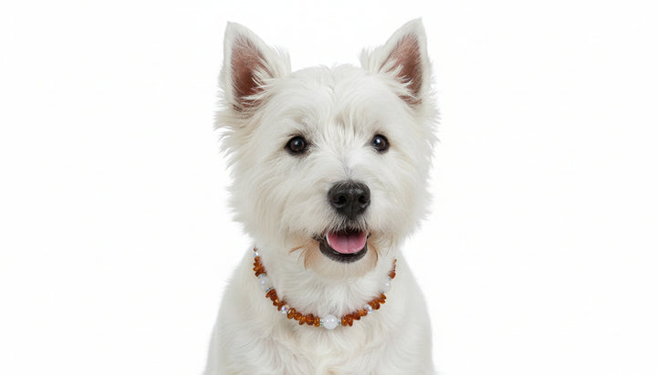 Bernsteinkette Rosenquarz & Swari