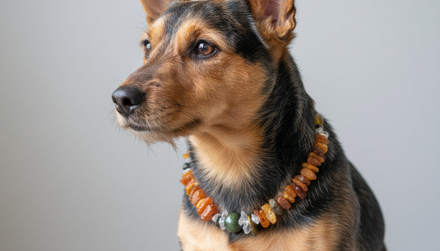 Hunde Bernsteinkette mit Bergkristall und Tigerauge 31cm Länge