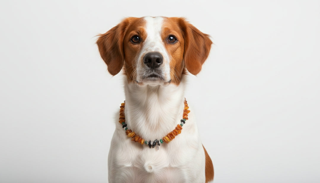Hunde Bernsteinkette mit Edelsteinen Länge 40cm