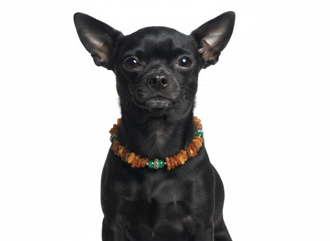 Hunde Bernsteinkette mit Jade