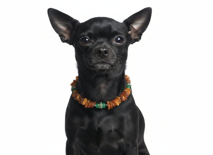 Hunde Bernsteinkette mit Jade