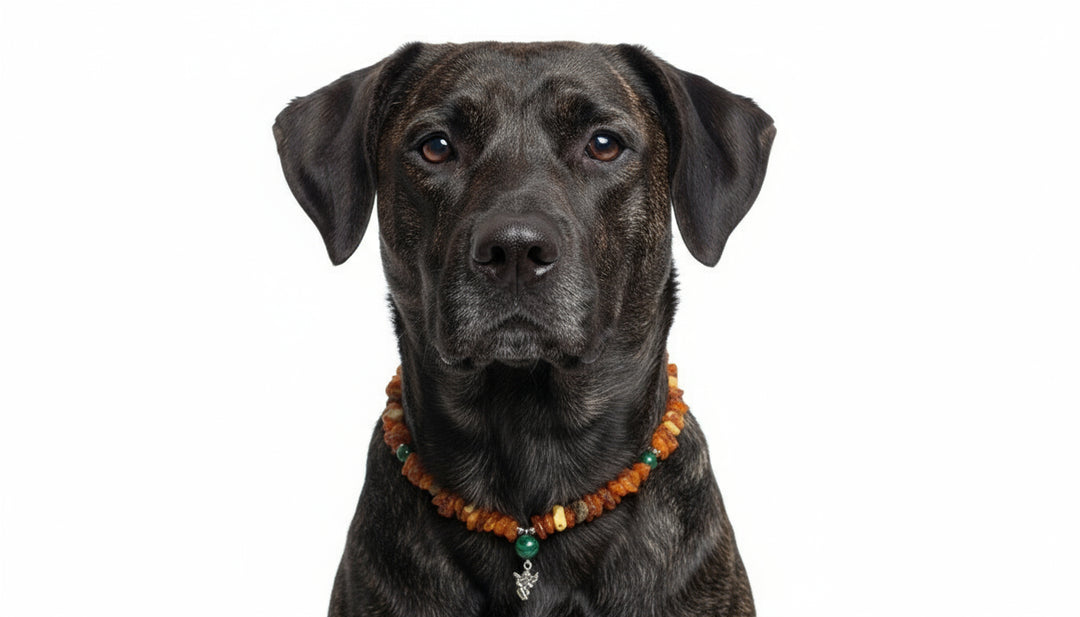 Bernsteinkette Malachit Engel 47cm