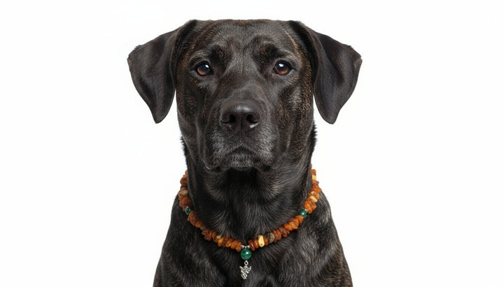 Bernsteinkette Malachit Engel 47cm