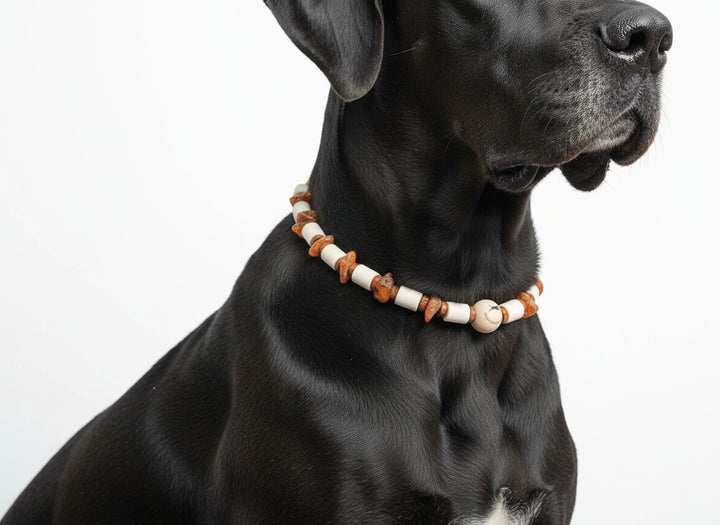 Hunde Kette EM_Keramik_Amberwood