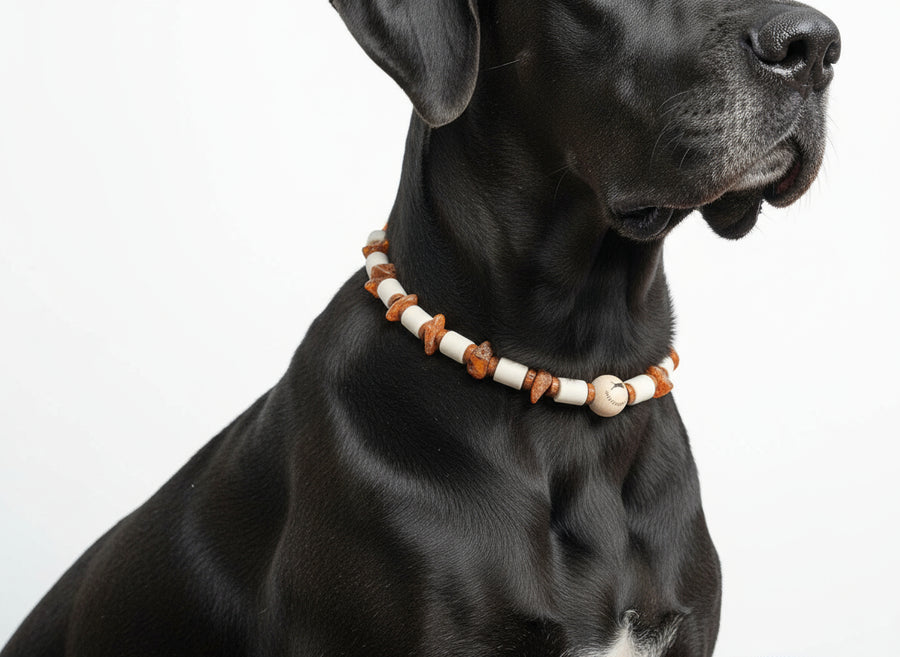 Hunde Kette EM_Keramik_Amberwood