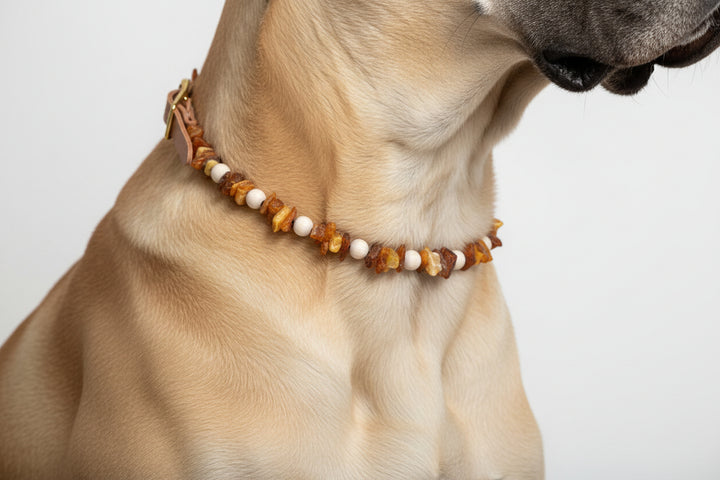 Hundehalsband Bernstein Holzperlen