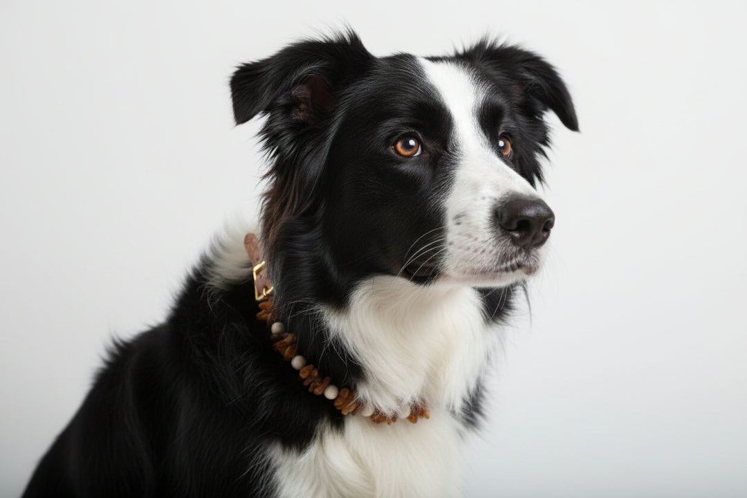 Bernsteinkette WoodyFlex XL