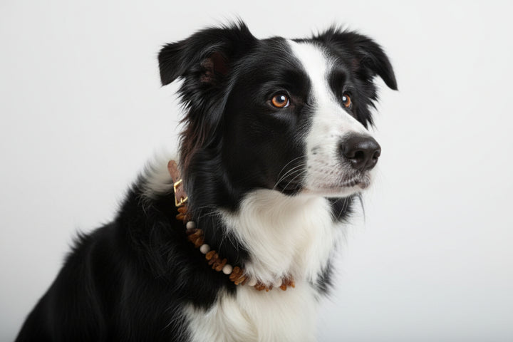 Bernsteinkette WoodyFlex XL