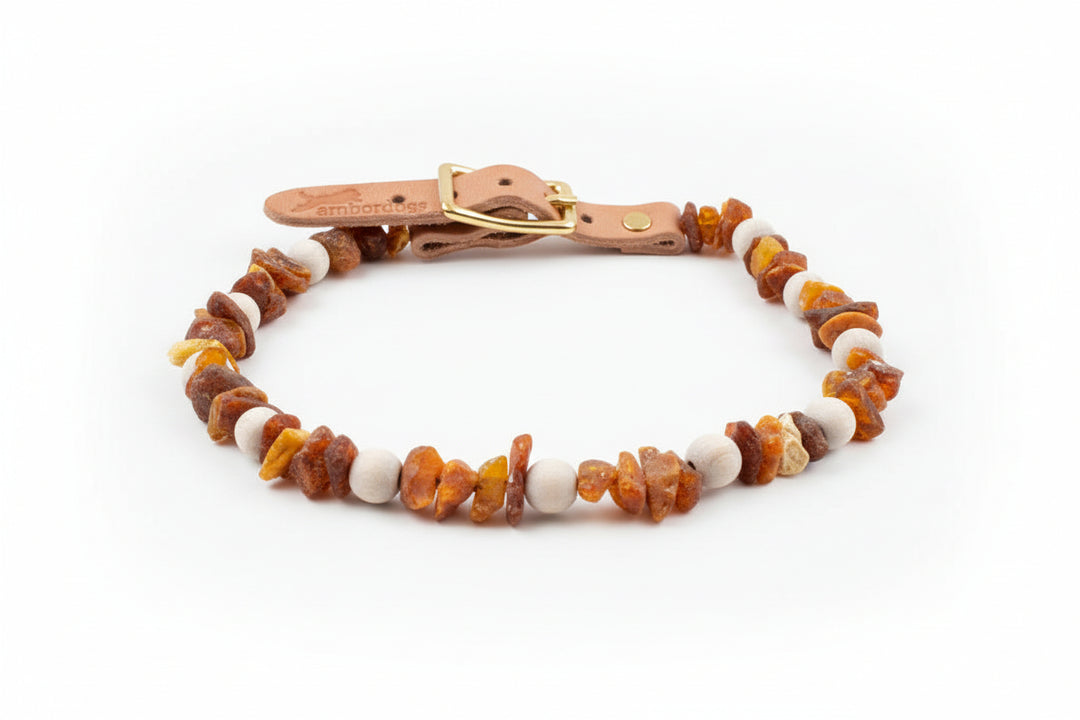Hunde Bernsteinkette WoodyFlex