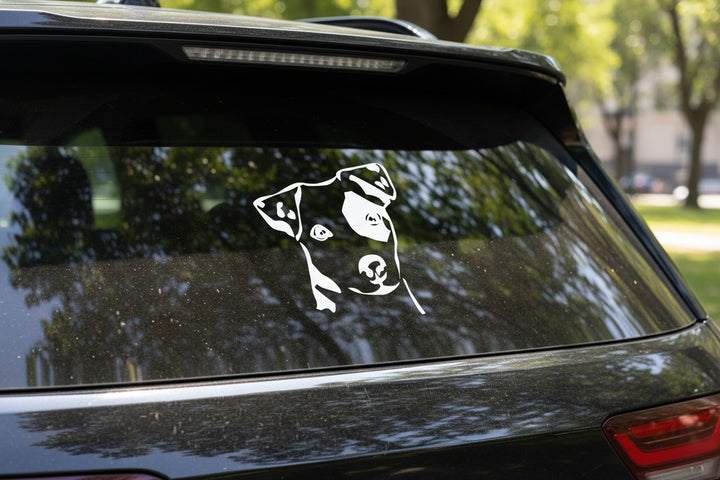 Jack Russel Terrier Auto Aufkleber