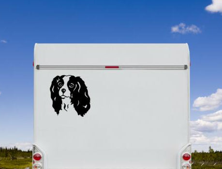 Cavalier King Charles Spaniel Kopf Aufkleber schwarz am Wohnmobil - Hund Autoaufkleber amberdog
