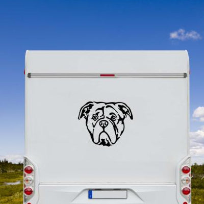 Schwarzer Continental Bulldogge Kopf Aufkleber am weißen Wohnmobil-Heck vor blauem Himmel – wetterfestes Wandtattoo- und Autoaufkleber-Motiv von amberdog