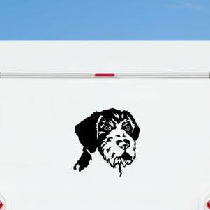 Schwarzer Deutsch Drahthaar Kopf Aufkleber auf einem weißen Wohnmobil – wetterfestes Wandtattoo- und Autoaufkleber-Motiv von amberdog