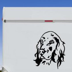 English Setter Kopf Aufkleber schwarz am Wohnmobil - Hund Autoaufkleber amberdog