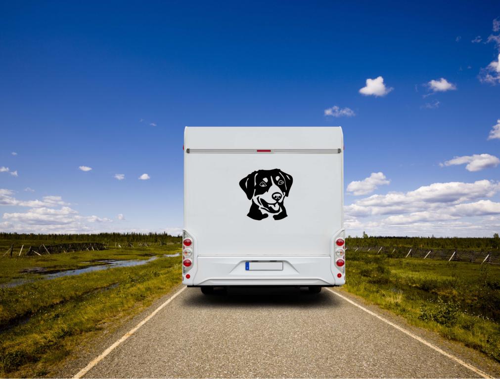 Entlebucher Sennenhund Kopf Wohnmobil Aufkleber