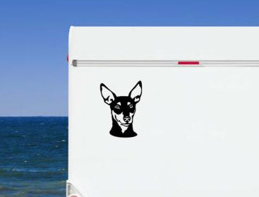 Zwergpinscher Kopf Aufkleber schwarz am Wohnmobil - Hund Autoaufkleber amberdog