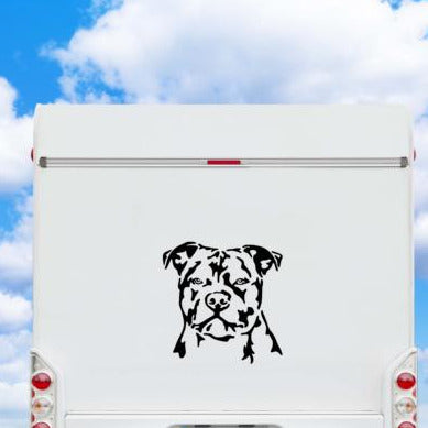 Staffordshire Bullterrier Aufkleber schwarz auf weißer Wohnmobil-Rückwand vor bewölktem Himmel