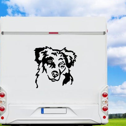 Australian Shepherd Kopf Aufkleber in Schwarz am weißen Wohnmobil-Heck – wetterfestes Wandtattoo- und Autoaufkleber-Motiv von amberdog