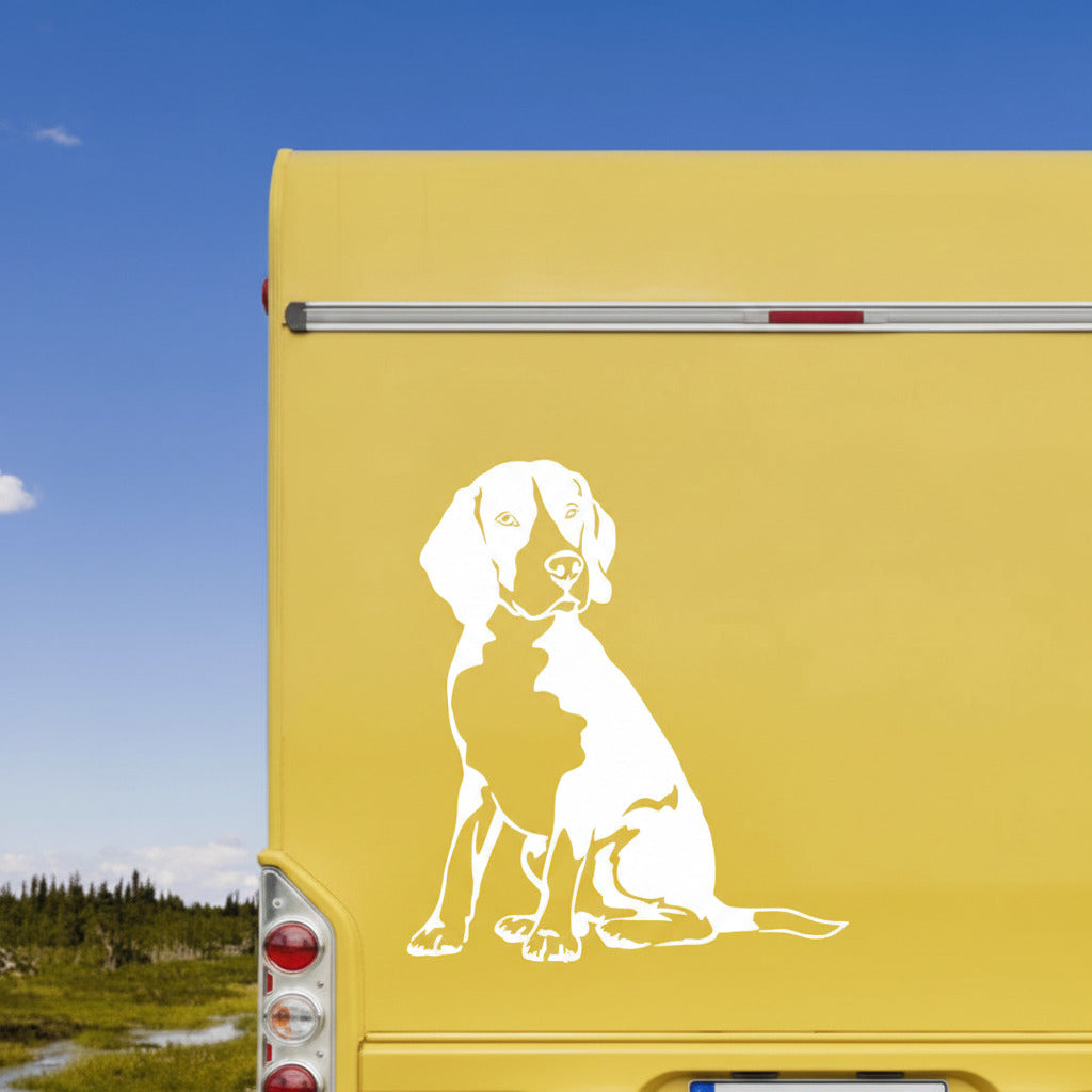 Weißer sitzender Beagle Ganzkörper Aufkleber an der gelben Rückwand eines Wohnmobils, wetterfestes Autoaufkleber-Motiv von amberdog