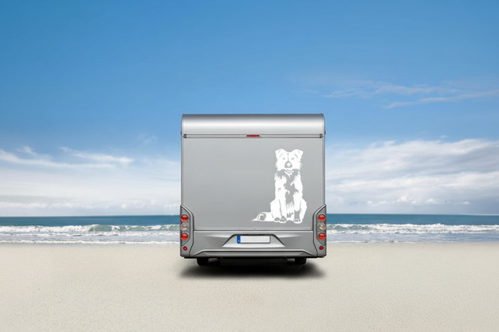 Border Collie Wohnmobil Aufkleber
