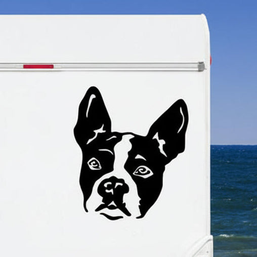 Boston Terrier Kopf Aufkleber schwarz am Wohnmobil - Hund Autoaufkleber amberdog