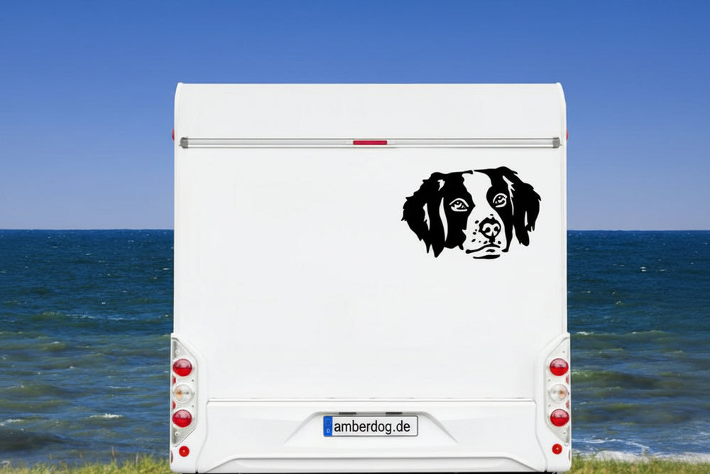 Bretone Kopf Aufkleber schwarz am Wohnmobil - Hund Autoaufkleber amberdog