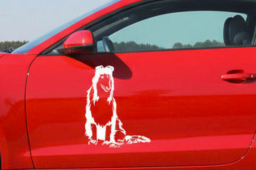 Weißer stehender Collie Ganzkörper Aufkleber an der Tür eines roten Autos, wetterfestes Autoaufkleber-Motiv von amberdog