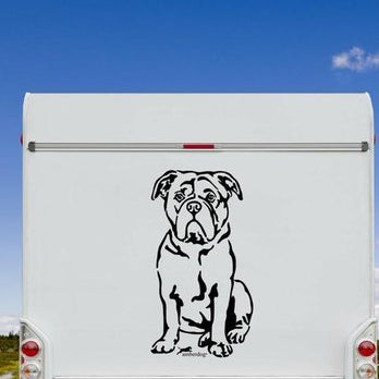 Schwarzer sitzender Continental Bulldogge Aufkleber am weißen Wohnmobil-Heck – wetterfestes Wandtattoo- und Autoaufkleber-Motiv von amberdog