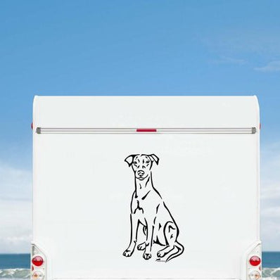 Deutscher Pinscher Aufkleber in Schwarz am weißen Wohnmobil – wetterfestes Wandtattoo- und Autoaufkleber-Ganzkörpermotiv von amberdog