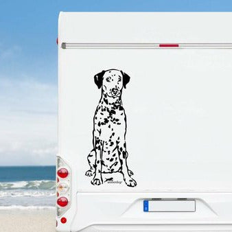 Schwarzer Dalmatiner Aufkleber auf einem weißen Wohnmobil am Meer – wetterfestes Aufkleber-Motiv von amberdog