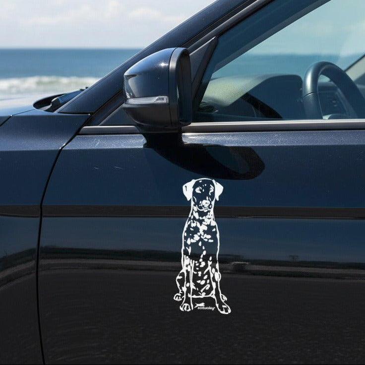 Weißer Dalmatiner Aufkleber auf einer dunklen Autotür am Meer – wetterfestes Autoaufkleber-Motiv von amberdog