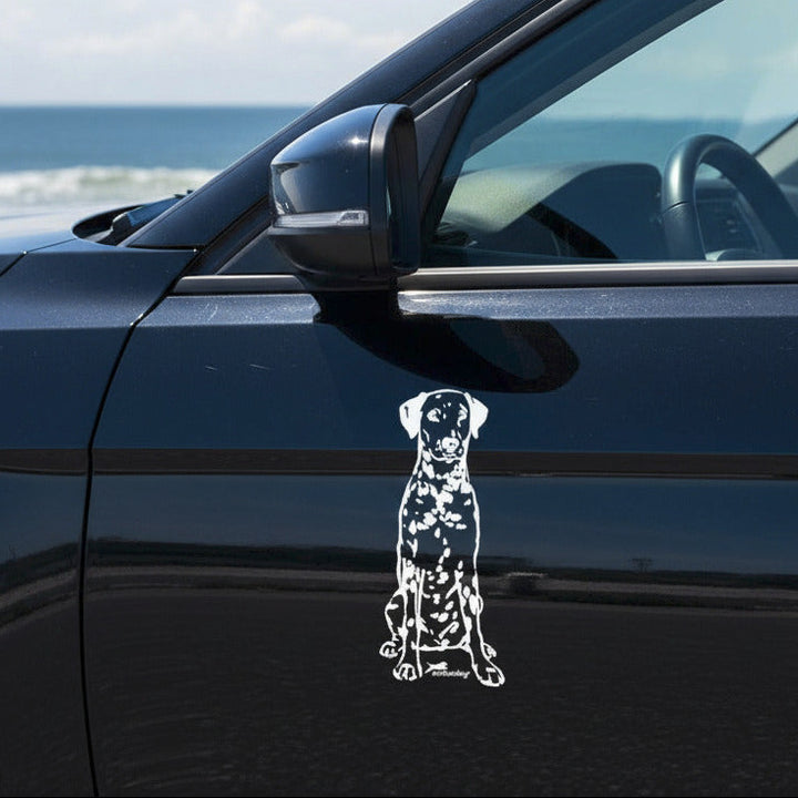 Weißer Dalmatiner Aufkleber auf einer dunklen Autotür am Meer – wetterfestes Autoaufkleber-Motiv von amberdog