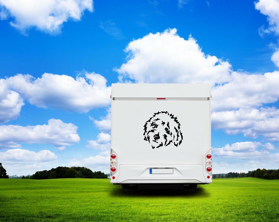 Goldendoodle Kopf Wohnmobil Aufkleber